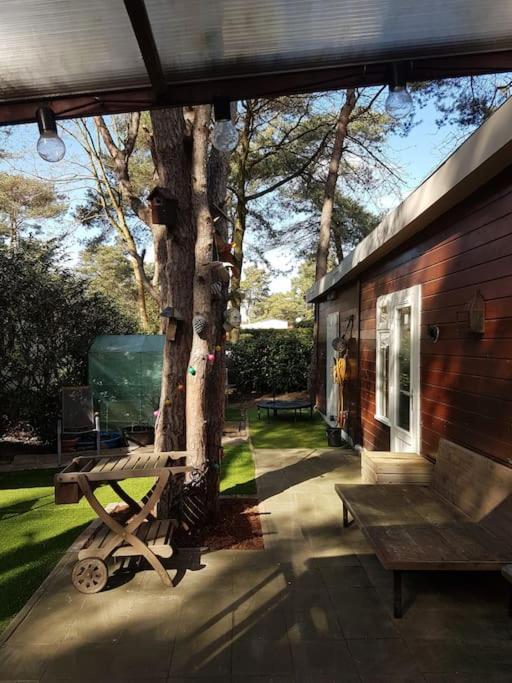 3 Bedroom Chalet On Camping Gt Balen Extérieur photo